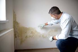  , SD Mold Removal Services Pros